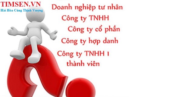 Xác định loại hình doanh nghiệp