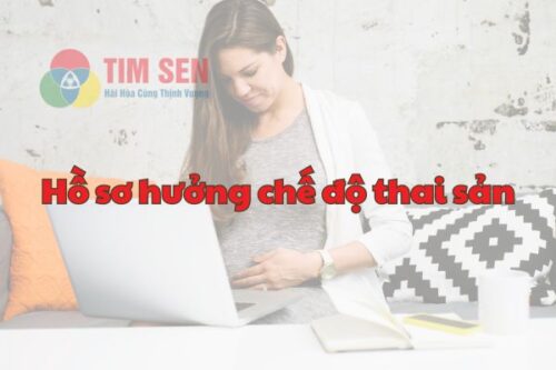 Các thủ tục làm hồ sơ hưởng chế độ thai sản