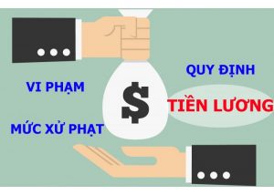 vi pham quy dinh ve tien luong 700x500 1 300x214 - VI PHẠM VỀ TIỀN LƯƠNG MÀ DOANH NGHIỆP CẦN LƯU Ý