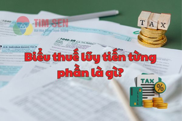 1 bieu thue luy tien - Thông tin mới nhất về biểu thuế lũy tiến 2024