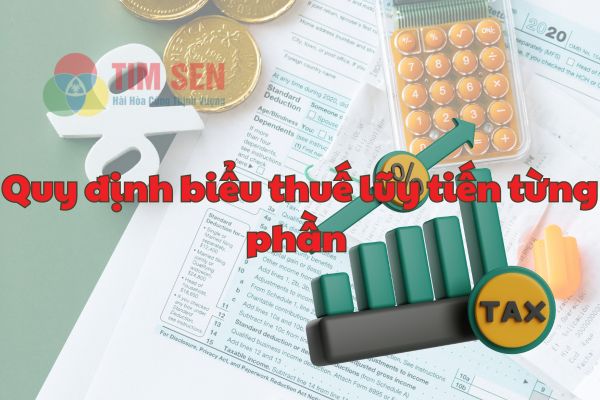 2 bieu thue luy tien - Thông tin mới nhất về biểu thuế lũy tiến 2024