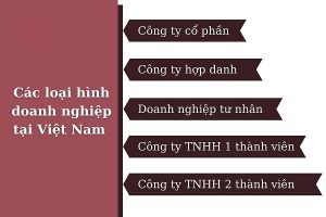 Các loại hình doanh nghiệp ở Việt Nam hiện nay