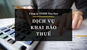 Dịch vụ kê khai thuế uy tín, chuyên nghiệp tại Tim Sen