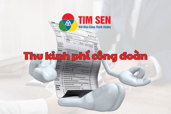 2 cach tinh doan phi cong doan - Hướng dẫn thu đoàn phí công đoàn, kinh phí công đoàn năm 2024