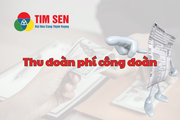 3 cach tinh doan phi cong doan - Hướng dẫn thu đoàn phí công đoàn, kinh phí công đoàn năm 2024