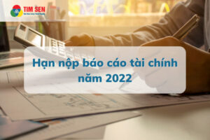 Hạn nộp báo cáo tài chính năm 2022