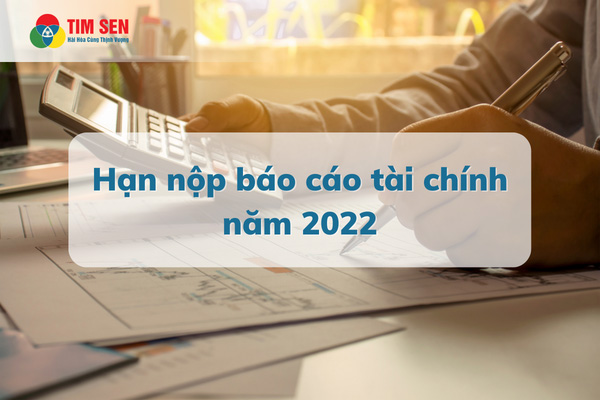 han nop bao cao tai chinh nam 2022 01 - Thời hạn nộp báo cáo tài chính năm 2022 và những lưu ý cần biết