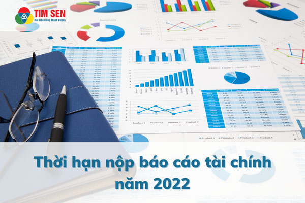 han nop bao cao tai chinh nam 2022 03 - Thời hạn nộp báo cáo tài chính năm 2022 và những lưu ý cần biết