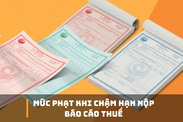 lich nop bao cao thue 2022 5 - Cập nhật lịch nộp báo cáo thuế 2022 đầy đủ và chi tiết nhất