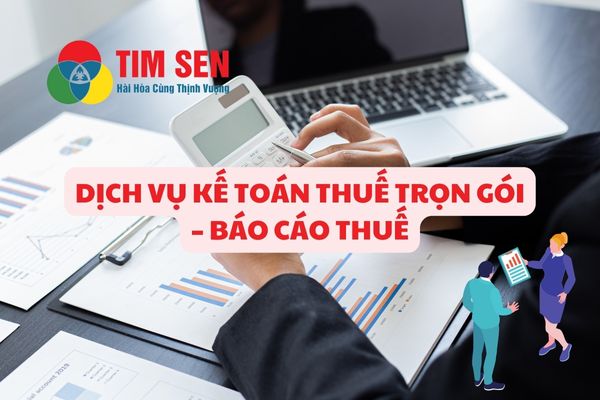 1 dich vu ke toan - DỊCH VỤ KẾ TOÁN THUẾ TRỌN GÓI - BÁO CÁO THUẾ CHỈ TỪ 499.000đ/tháng