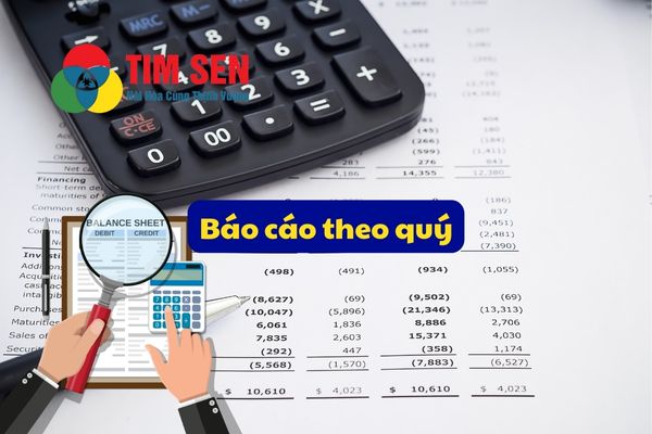 5 dich vu ke toan - DỊCH VỤ KẾ TOÁN THUẾ TRỌN GÓI - BÁO CÁO THUẾ CHỈ TỪ 499.000đ/tháng