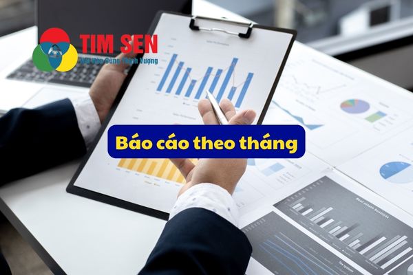 6 dich vu ke toan - DỊCH VỤ KẾ TOÁN THUẾ TRỌN GÓI - BÁO CÁO THUẾ CHỈ TỪ 499.000đ/tháng