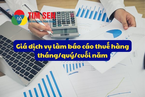 7 dich vu ke toan - DỊCH VỤ KẾ TOÁN THUẾ TRỌN GÓI - BÁO CÁO THUẾ CHỈ TỪ 499.000đ/tháng