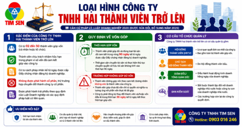 Loại hình công ty TNHH hai thành viên trở lên ChatGPT Image Jul 13 2026 03 09 11 PM 500x263 - Loại hình công ty TNHH hai thành viên trở lên
